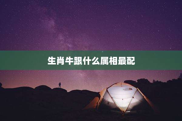 生肖牛跟什么属相最配