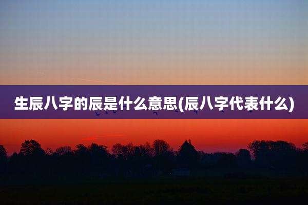 生辰八字的辰是什么意思(辰八字代表什么)