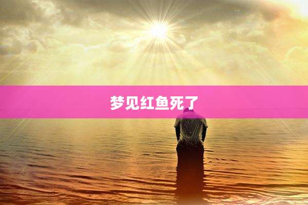 梦见红鱼死了