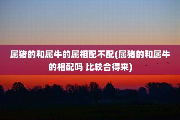 属猪的和属牛的属相配不配(属猪的和属牛的相配吗 比较合得来)