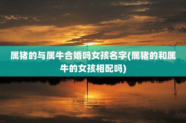属猪的与属牛合婚吗女孩名字(属猪的和属牛的女孩相配吗)