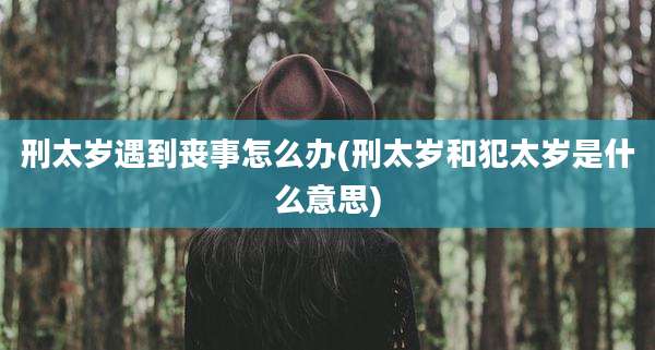 刑太岁遇到丧事怎么办(刑太岁和犯太岁是什么意思)