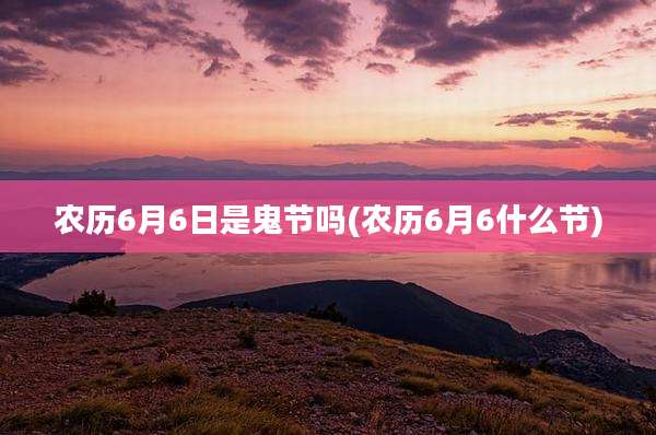 农历6月6日是鬼节吗(农历6月6什么节)
