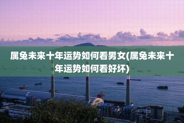 属兔未来十年运势如何看男女(属兔未来十年运势如何看好坏)