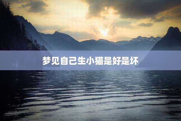 梦见自己生小猫是好是坏