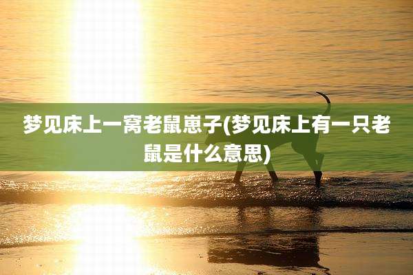 梦见床上一窝老鼠崽子(梦见床上有一只老鼠是什么意思)