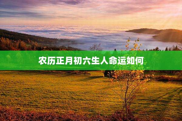 农历正月初六生人命运如何
