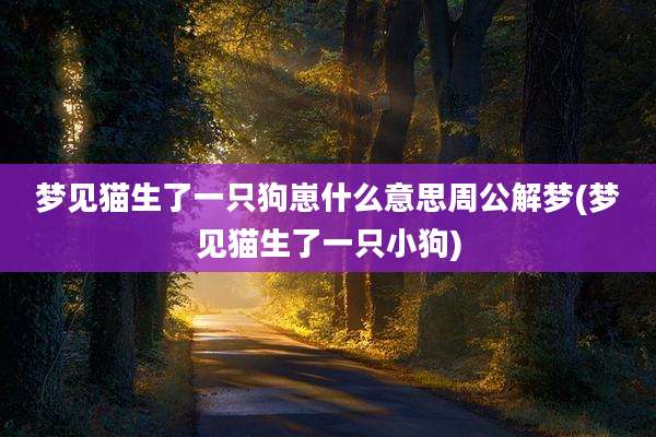 梦见猫生了一只狗崽什么意思周公解梦(梦见猫生了一只小狗)