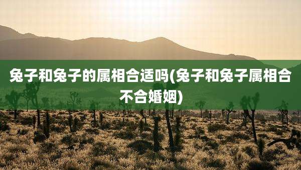 兔子和兔子的属相合适吗(兔子和兔子属相合不合婚姻)