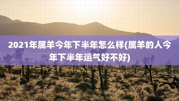 2021年属羊今年下半年怎么样(属羊的人今年下半年运气好不好)