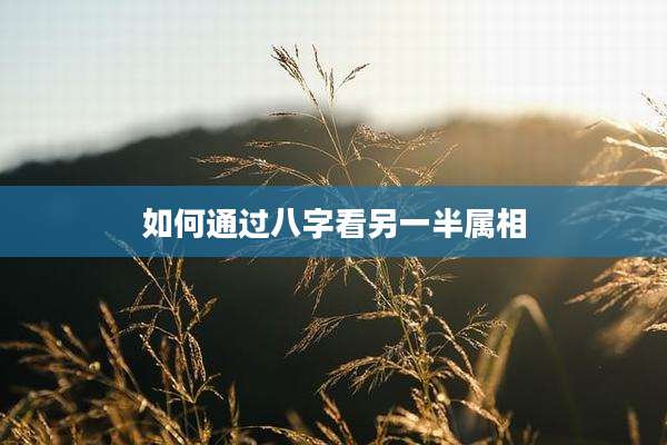 如何通过八字看另一半属相