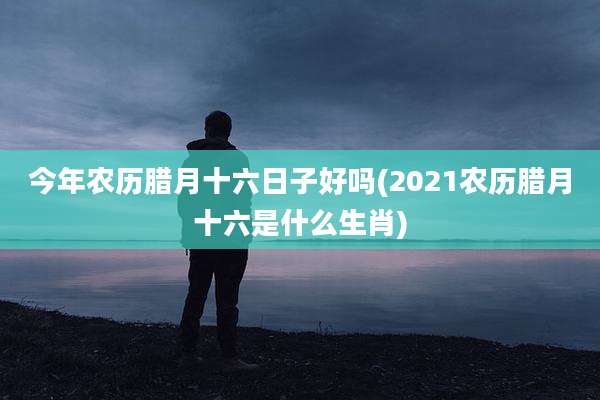 今年农历腊月十六日子好吗(2021农历腊月十六是什么生肖)