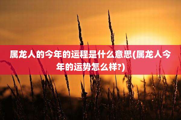 属龙人的今年的运程是什么意思(属龙人今年的运势怎么样?)