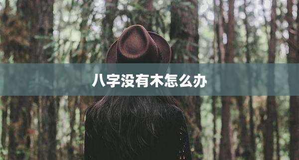 八字没有木怎么办