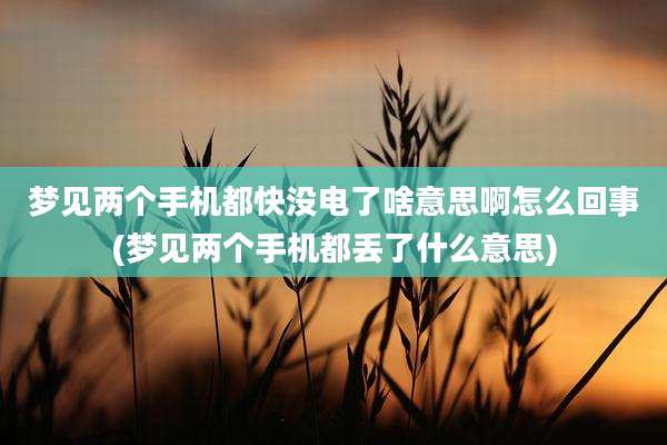 梦见两个手机都快没电了啥意思啊怎么回事(梦见两个手机都丢了什么意思)