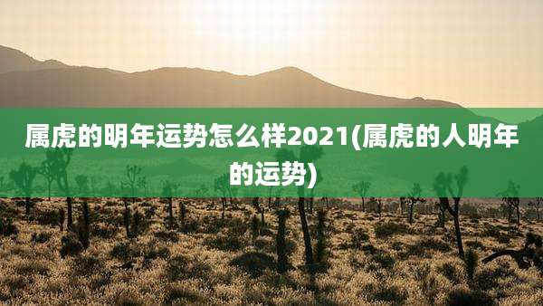 属虎的明年运势怎么样2021(属虎的人明年的运势)