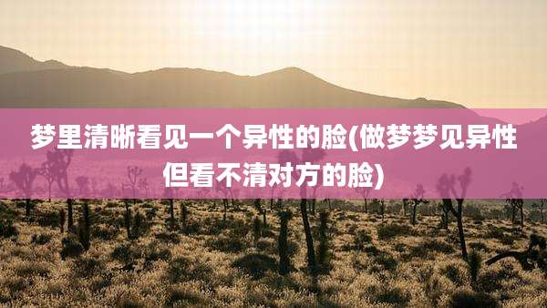 梦里清晰看见一个异性的脸(做梦梦见异性但看不清对方的脸)