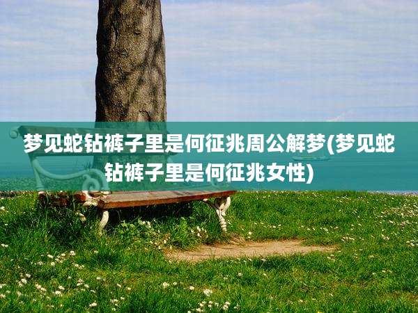 梦见蛇钻裤子里是何征兆周公解梦(梦见蛇钻裤子里是何征兆女性)