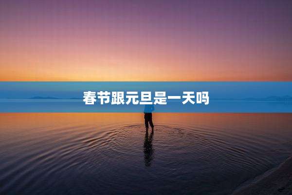 春节跟元旦是一天吗