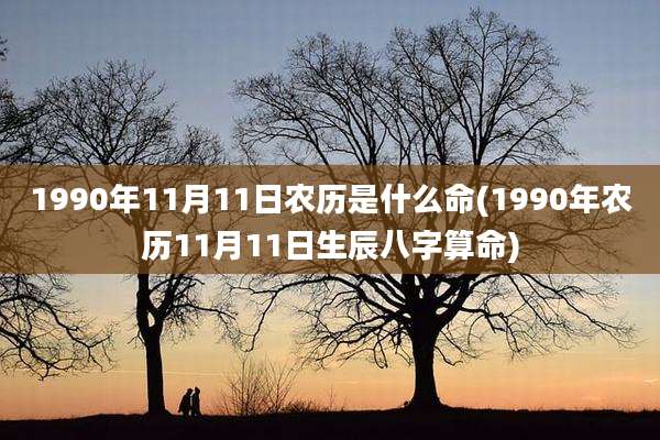 1990年11月11日农历是什么命(1990年农历11月11日生辰八字算命)