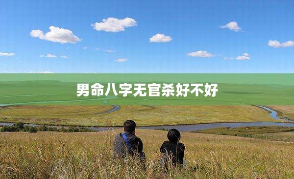 男命八字无官杀好不好