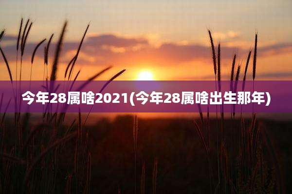 今年28属啥2021(今年28属啥出生那年)