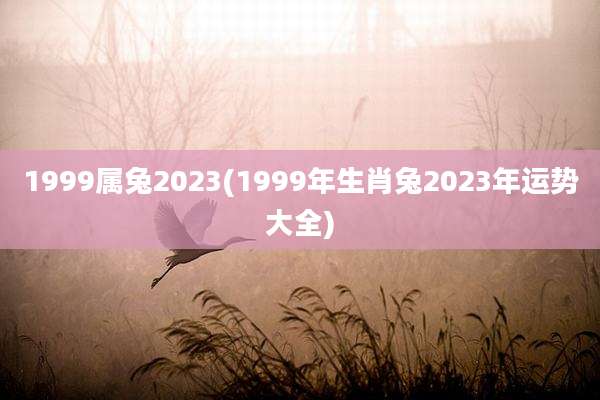 1999属兔2023(1999年生肖兔2023年运势大全)