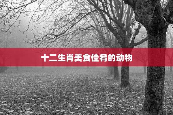 十二生肖美食佳肴的动物
