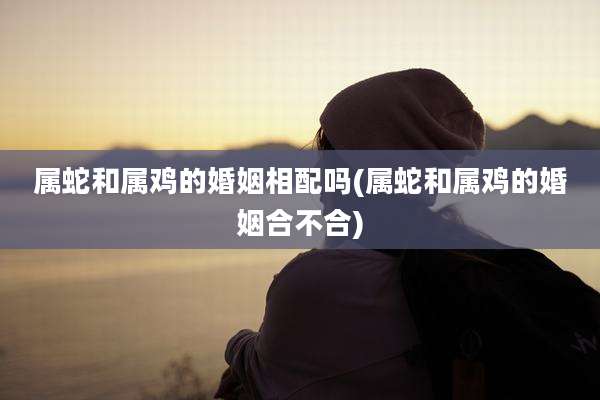 属蛇和属鸡的婚姻相配吗(属蛇和属鸡的婚姻合不合)