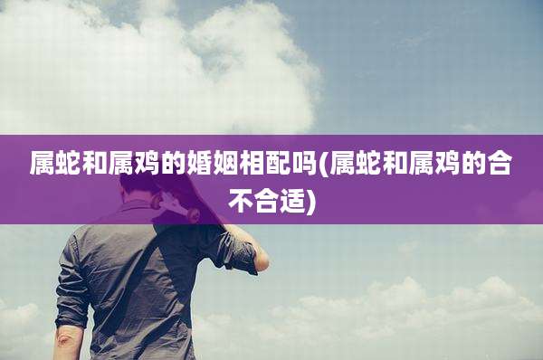属蛇和属鸡的婚姻相配吗(属蛇和属鸡的合不合适)