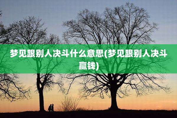梦见跟别人决斗什么意思(梦见跟别人决斗赢钱)