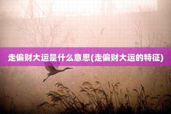 走偏财大运是什么意思(走偏财大运的特征)