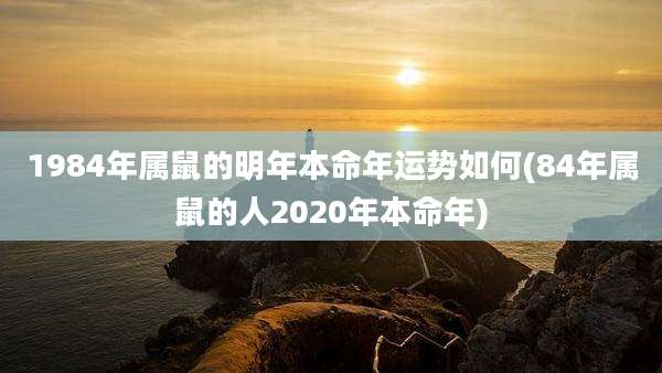 1984年属鼠的明年本命年运势如何(84年属鼠的人2020年本命年)