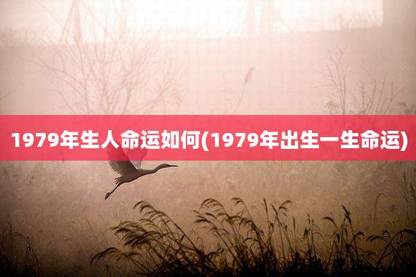 1979年生人命运如何(1979年出生一生命运)