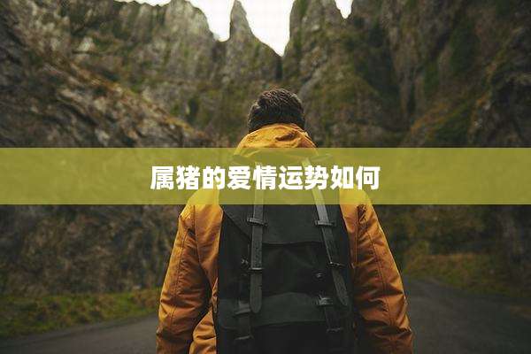 属猪的爱情运势如何