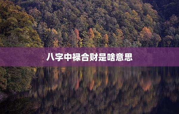 八字中禄合财是啥意思