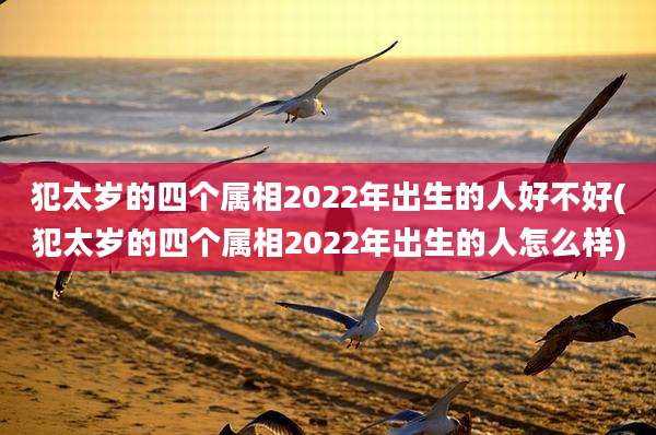 犯太岁的四个属相2022年出生的人好不好(犯太岁的四个属相2022年出生的人怎么样)