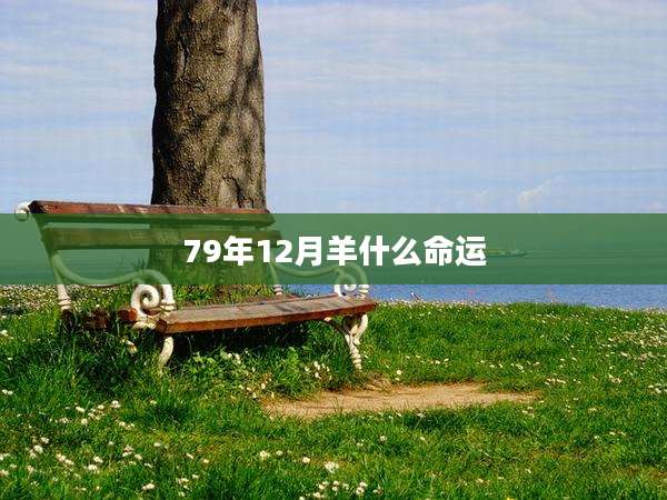 79年12月羊什么命运