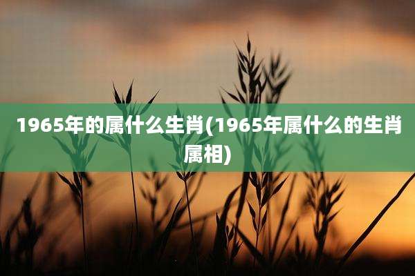 1965年的属什么生肖(1965年属什么的生肖属相)