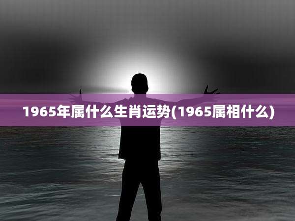 1965年属什么生肖运势(1965属相什么)