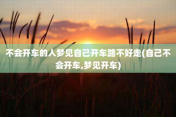 不会开车的人梦见自己开车路不好走(自己不会开车,梦见开车)