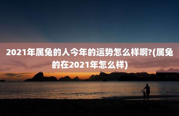 2021年属兔的人今年的运势怎么样啊?(属兔的在2021年怎么样)