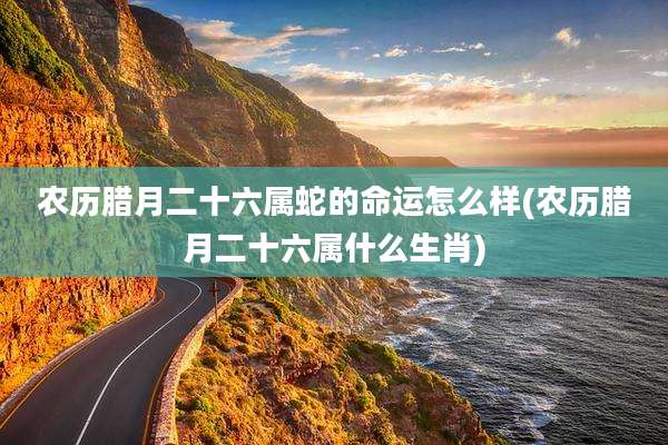 农历腊月二十六属蛇的命运怎么样(农历腊月二十六属什么生肖)