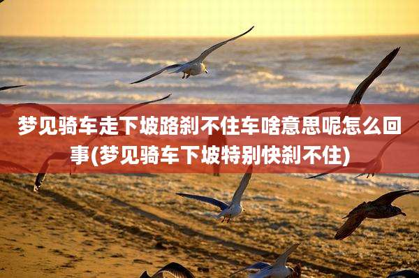梦见骑车走下坡路刹不住车啥意思呢怎么回事(梦见骑车下坡特别快刹不住)