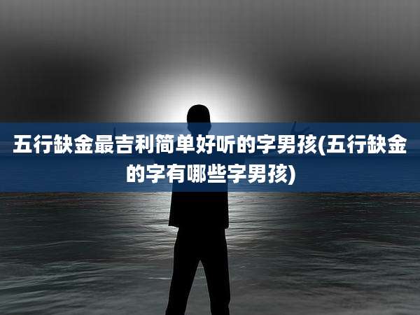 五行缺金最吉利简单好听的字男孩(五行缺金的字有哪些字男孩)