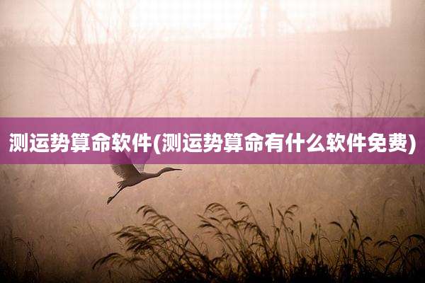 测运势算命软件(测运势算命有什么软件免费)