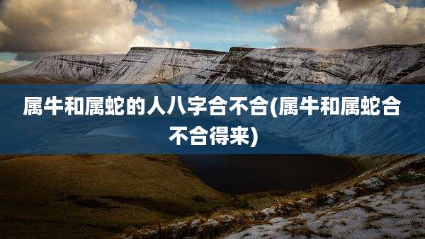 属牛和属蛇的人八字合不合(属牛和属蛇合不合得来)