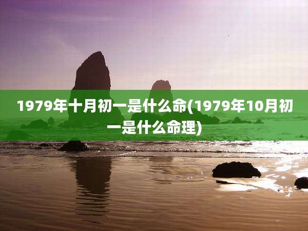 1979年十月初一是什么命(1979年10月初一是什么命理)