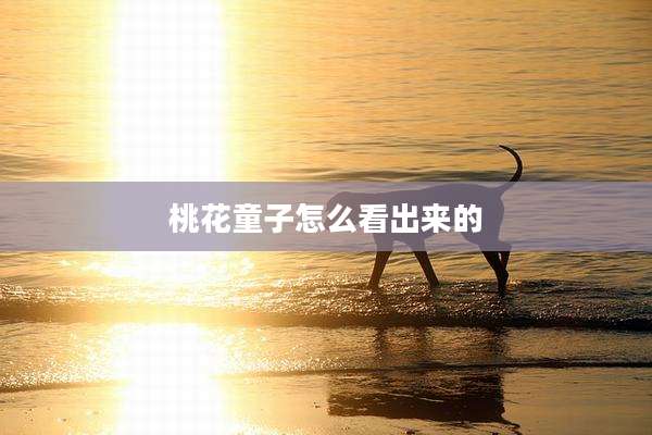 桃花童子怎么看出来的