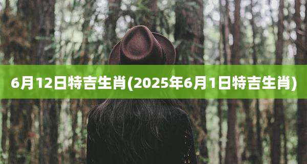 6月12日特吉生肖(2025年6月1日特吉生肖)